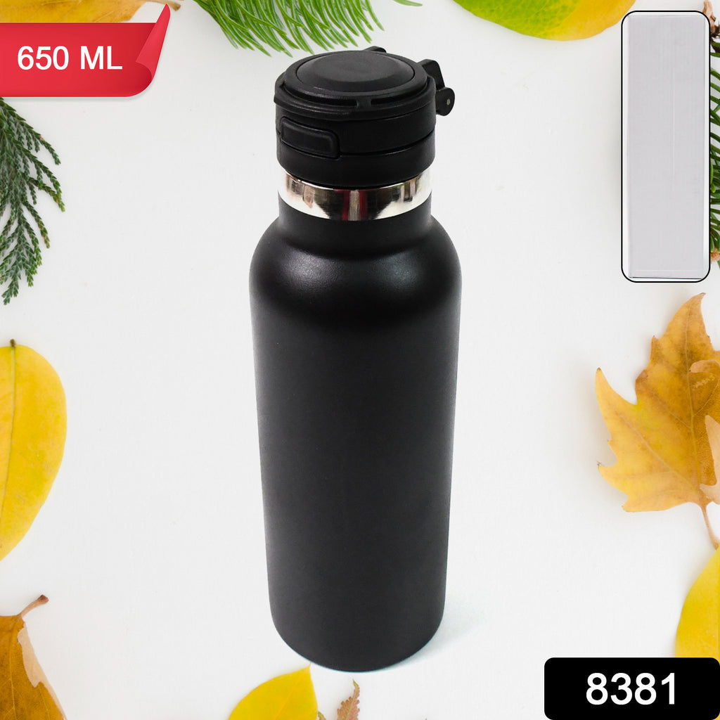 Kids Insulated Stainless Steel Water Bottle (650ml)