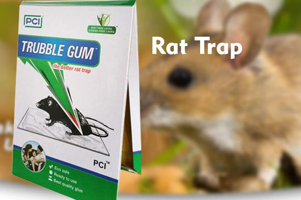 PCI Cardboard Troublegum Small Size Mouse Trap-1pc - H00370 - ALL MY WISH
