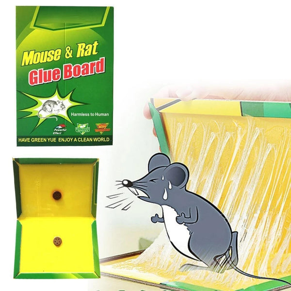 Green Mice Glue Traps (1pc) - H00556 - ALL MY WISH