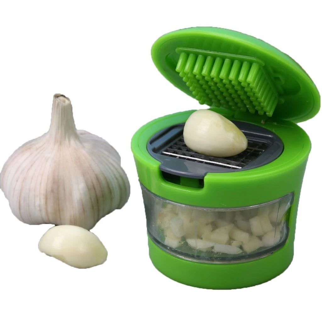 Ginger Garlic Crusher for Kitchen - H00843