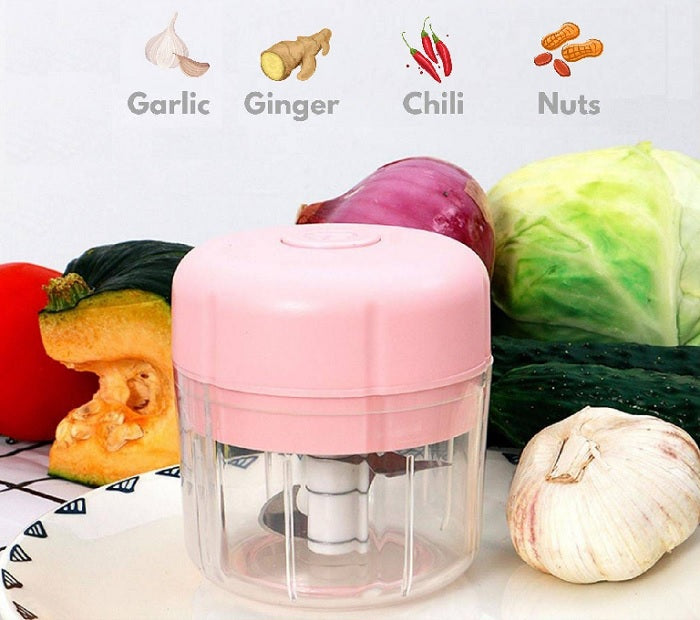 Buy Electric Garlic Food Chopper Online - ALLMYWISH.COM