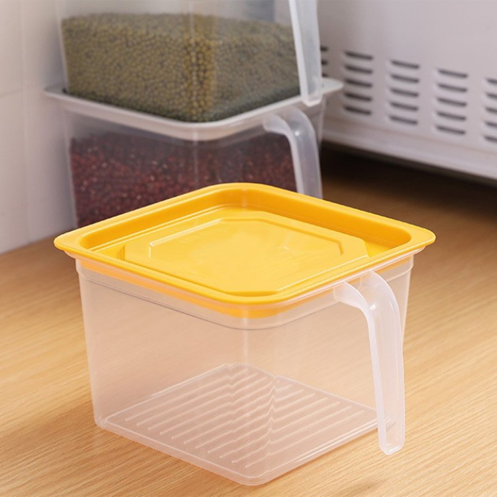 Buy Square Food Storage Containers With Handle (1 PC) Online - ALLMYWISH.COM 