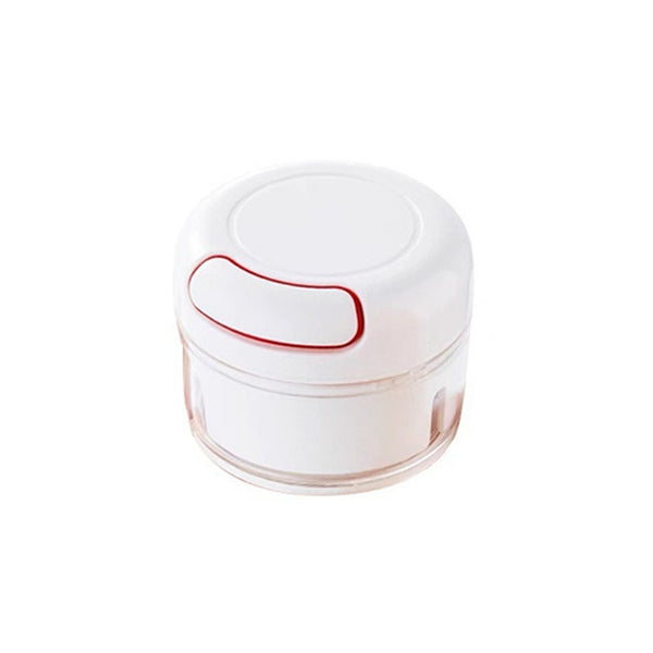 Buy  Mini Garlic Chopper Mixer Online at ALLMYWISH.COM