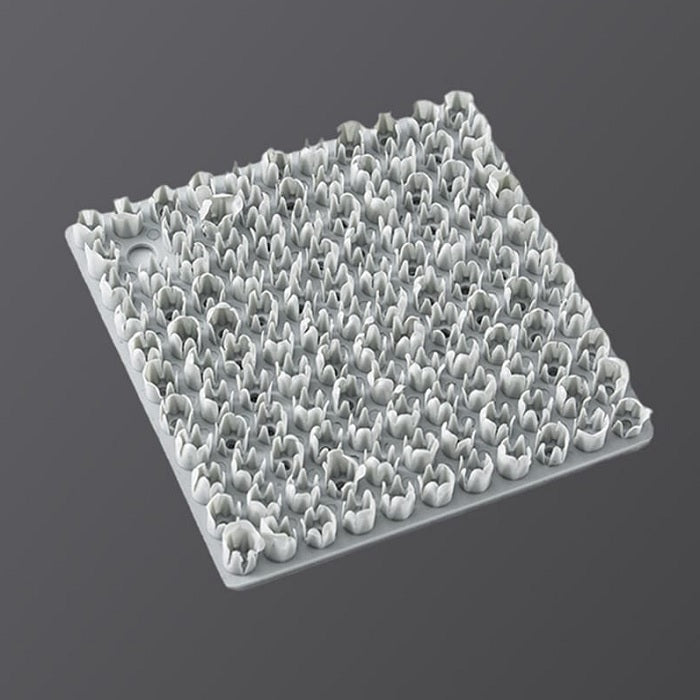 Buy Multinational Cleaning Scrubber Online at ALLMYWISH.COM