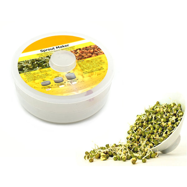 Buy 2 Layer Sprout Maker Online at ALLMYWISH.COM